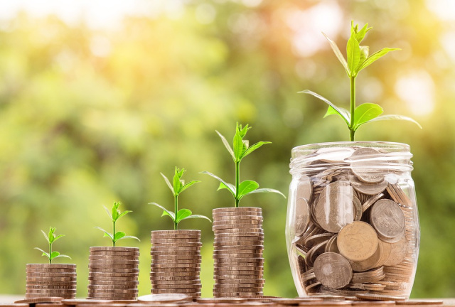 The Bulgarian Development Bank Reports 20% Growth in Profit